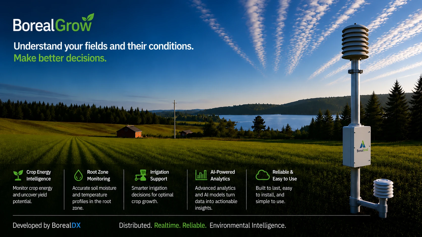 BorealDX Platform